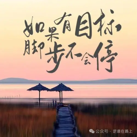 高考最后两个多月逆袭提分200+,开启发疯式学习,真的很爽!!!!-第9张图片-四季读书网 高考最后两个多月逆袭提分200+,开启发疯式学习,真的很爽!!!!-第9张图片-四季读书网