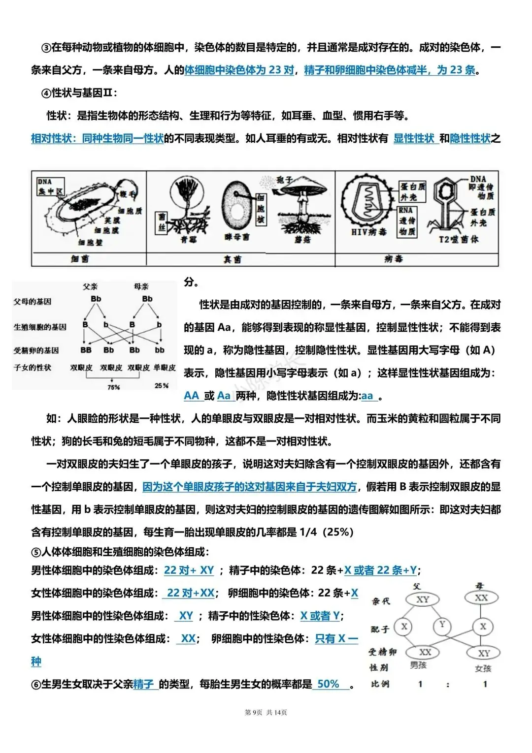 中考生物复习提纲-第9张图片-四季读书网