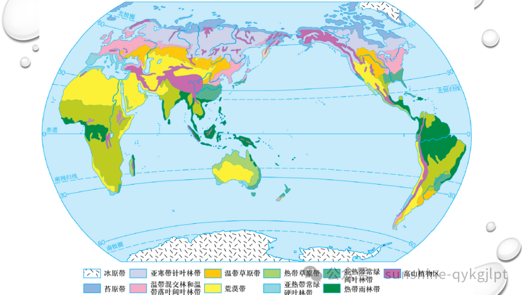 高考地理二轮复习:走近试题情景、把握命题意图-第77张图片-四季读书网