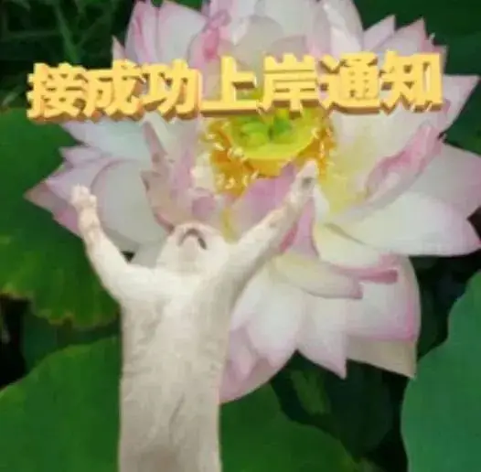 2024年春季高考投档线陆续出炉!首所公布的专科院校是…… 第7张 2024年春季高考投档线陆续出炉!首所公布的专科院校是…… 第7张