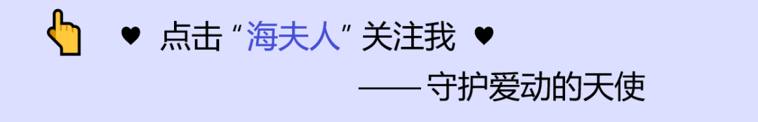 当中考遇到抽动症-第1张图片-四季读书网