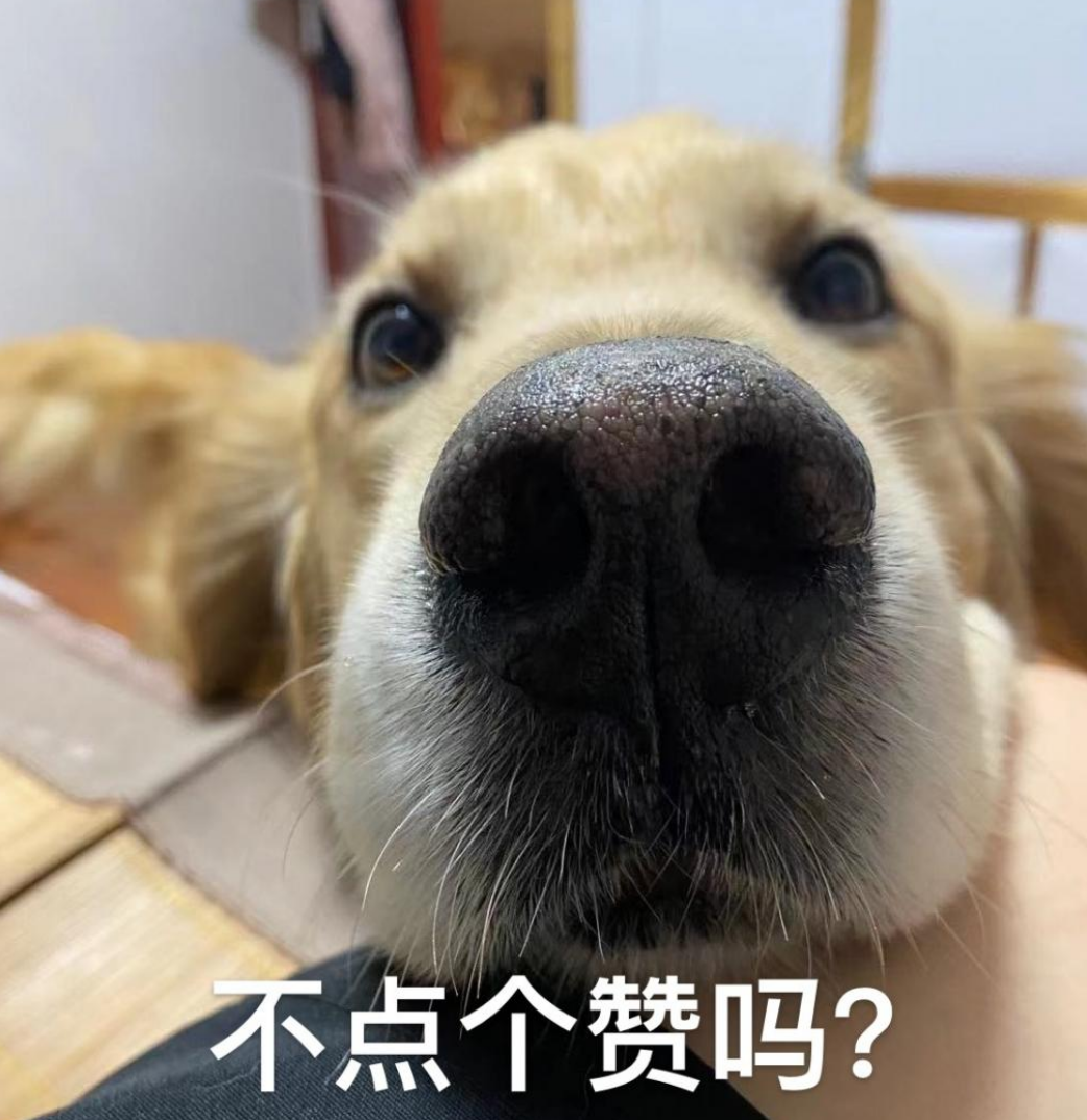 事关高考总成绩!陕西公布“3+1+2”新高考模式! 第14张 事关高考总成绩!陕西公布“3+1+2”新高考模式! 第14张