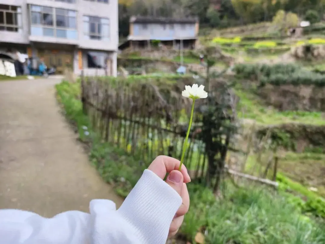 【岭上四JING·心净】减压赋能,笑迎中考——仙居县安岭乡中心学校开展中考冲刺心理减压系列活动-第19张图片-四季读书网 【岭上四JING·心净】减压赋能,笑迎中考——仙居县安岭乡中心学校开展中考冲刺心理减压系列活动-第19张图片-四季读书网
