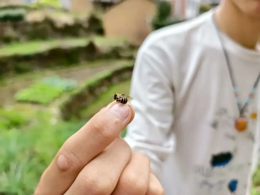 【岭上四JING·心净】减压赋能,笑迎中考——仙居县安岭乡中心学校开展中考冲刺心理减压系列活动-第14张图片-四季读书网 【岭上四JING·心净】减压赋能,笑迎中考——仙居县安岭乡中心学校开展中考冲刺心理减压系列活动-第14张图片-四季读书网