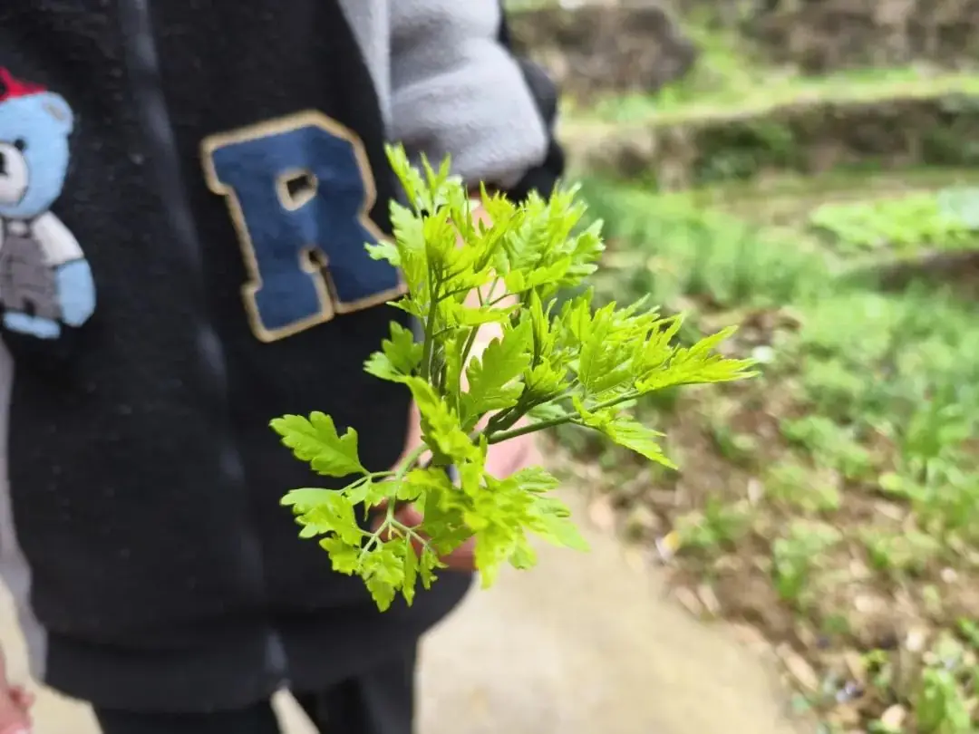 【岭上四JING·心净】减压赋能,笑迎中考——仙居县安岭乡中心学校开展中考冲刺心理减压系列活动-第15张图片-四季读书网 【岭上四JING·心净】减压赋能,笑迎中考——仙居县安岭乡中心学校开展中考冲刺心理减压系列活动-第15张图片-四季读书网