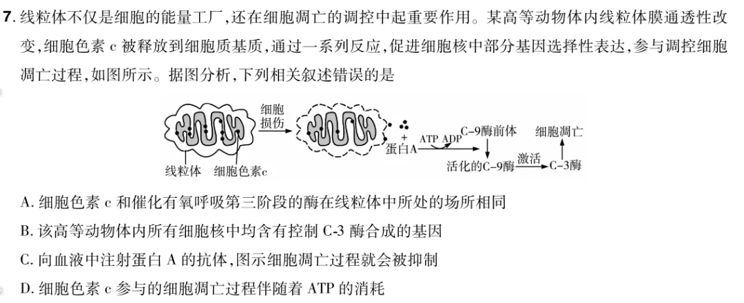 【每日一题】高考倒计时70天-第3张图片-四季读书网