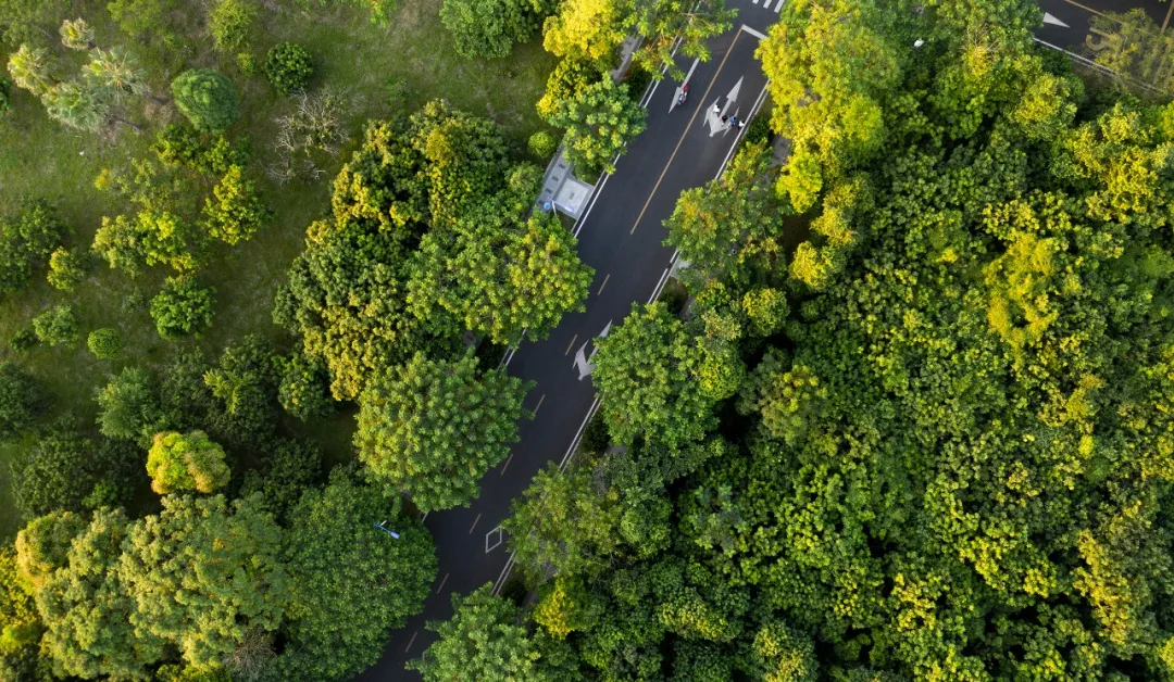 多人高分读民办!2024春季高考投档排名来了,这些公办还没录满! 第87张 多人高分读民办!2024春季高考投档排名来了,这些公办还没录满! 第87张