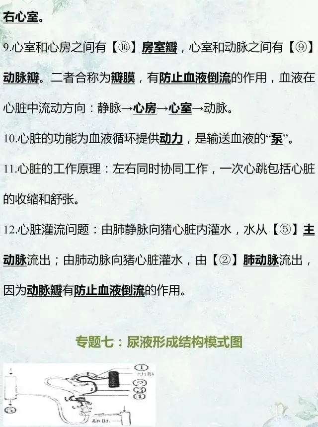 中考生物专题复习:识图作答专项练习,打印吃透,考试不丢分! 第11张