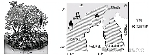 高考地理小专题——经济多元化-第9张图片-四季读书网 高考地理小专题——经济多元化-第9张图片-四季读书网