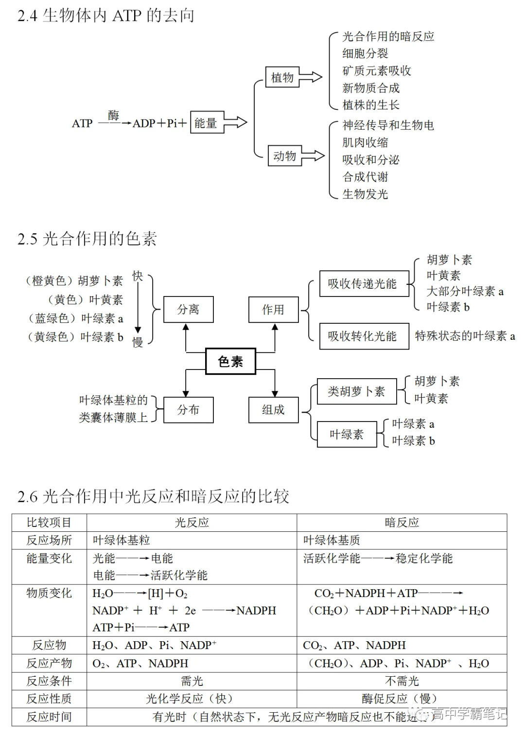 高考生物知识点总结(全)-第13张图片-四季读书网