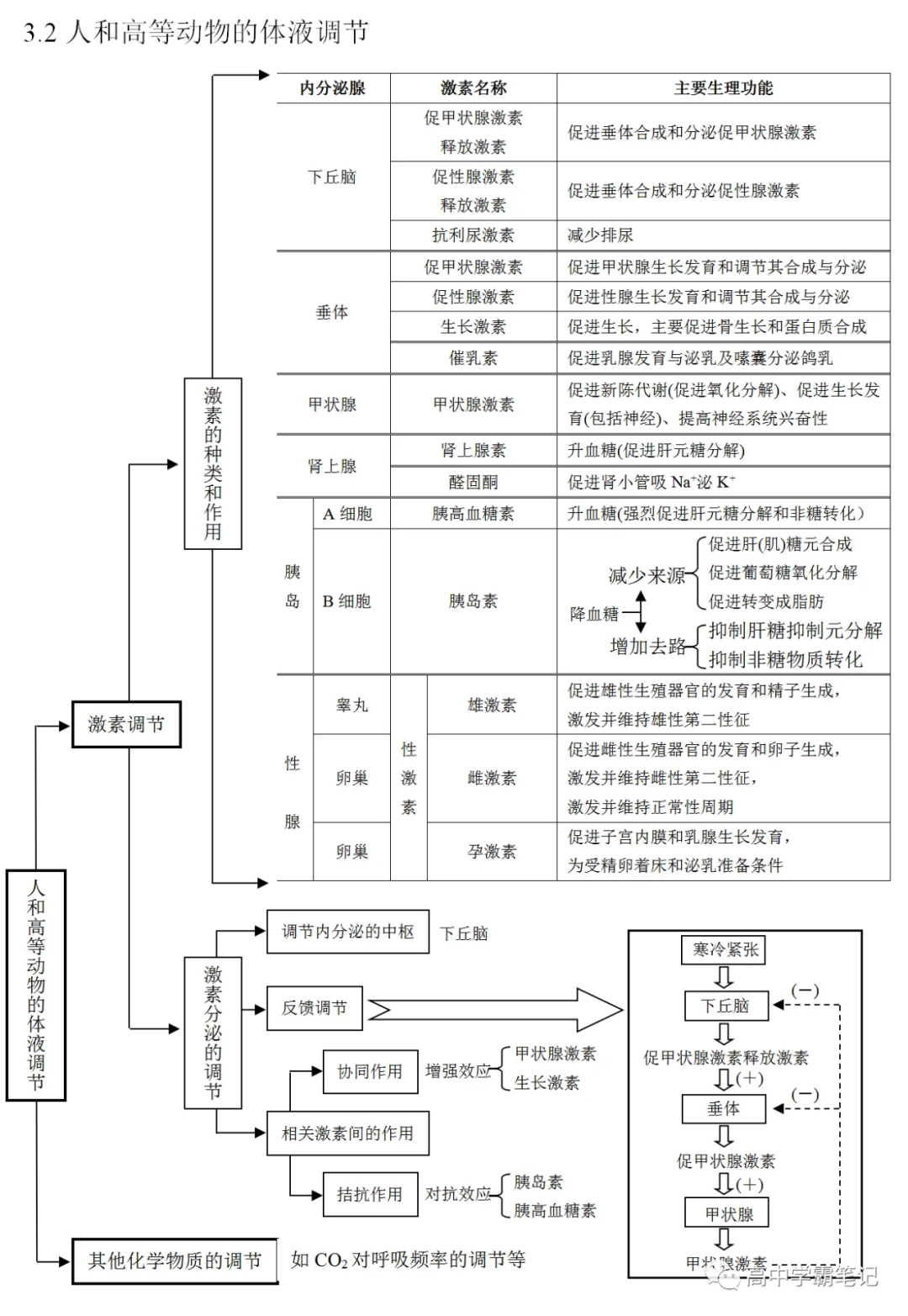 高考生物知识点总结(全)-第28张图片-四季读书网