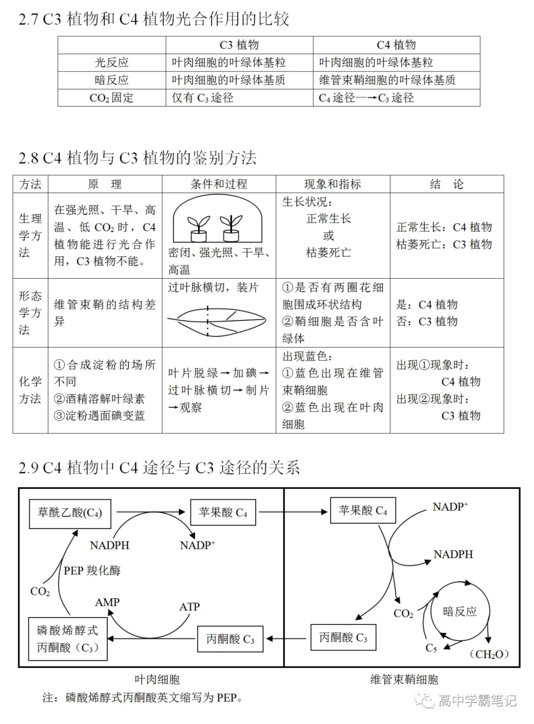 高考生物知识点总结(全)-第14张图片-四季读书网