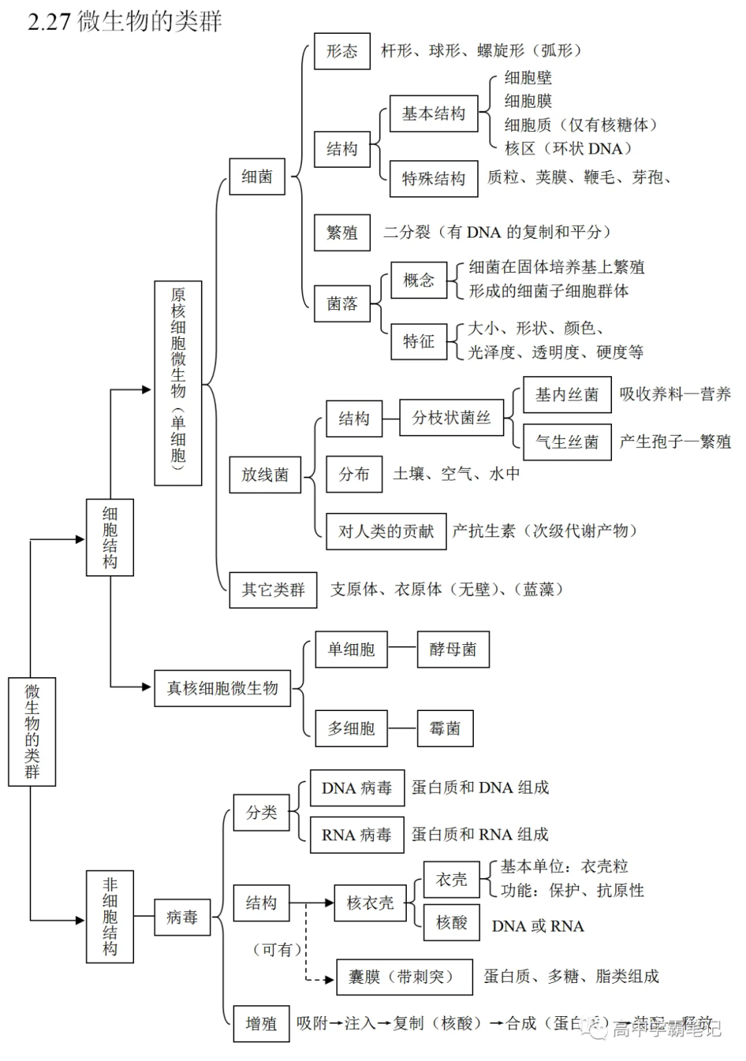 高考生物知识点总结(全)-第23张图片-四季读书网