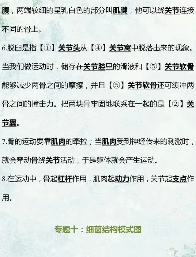 中考生物专题复习:识图作答专项练习,打印吃透,考试不丢分! 第16张