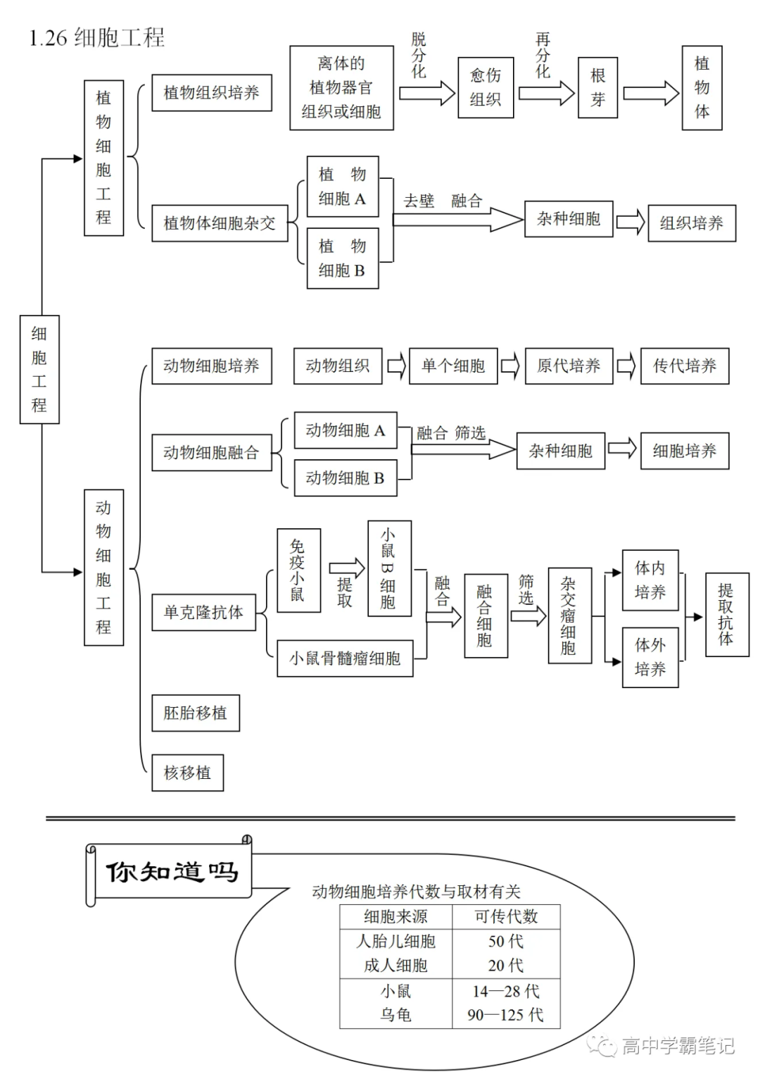 高考生物知识点总结(全)-第10张图片-四季读书网