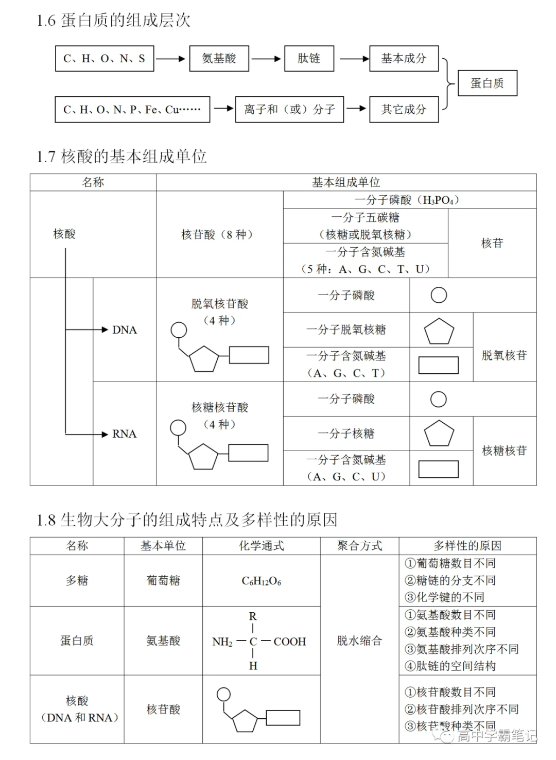 高考生物知识点总结(全)-第4张图片-四季读书网