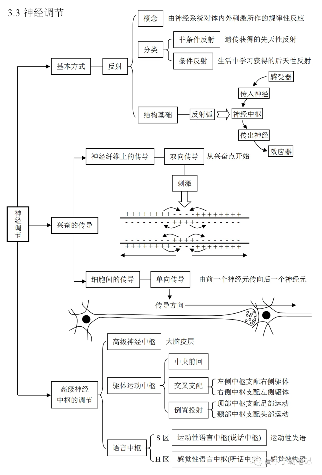高考生物知识点总结(全)-第29张图片-四季读书网