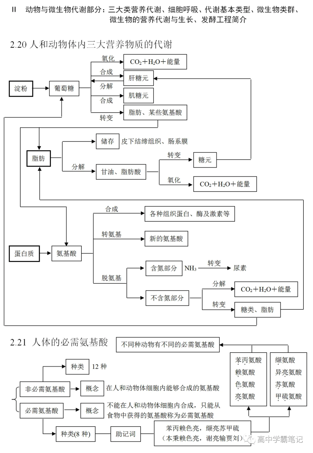 高考生物知识点总结(全)-第20张图片-四季读书网