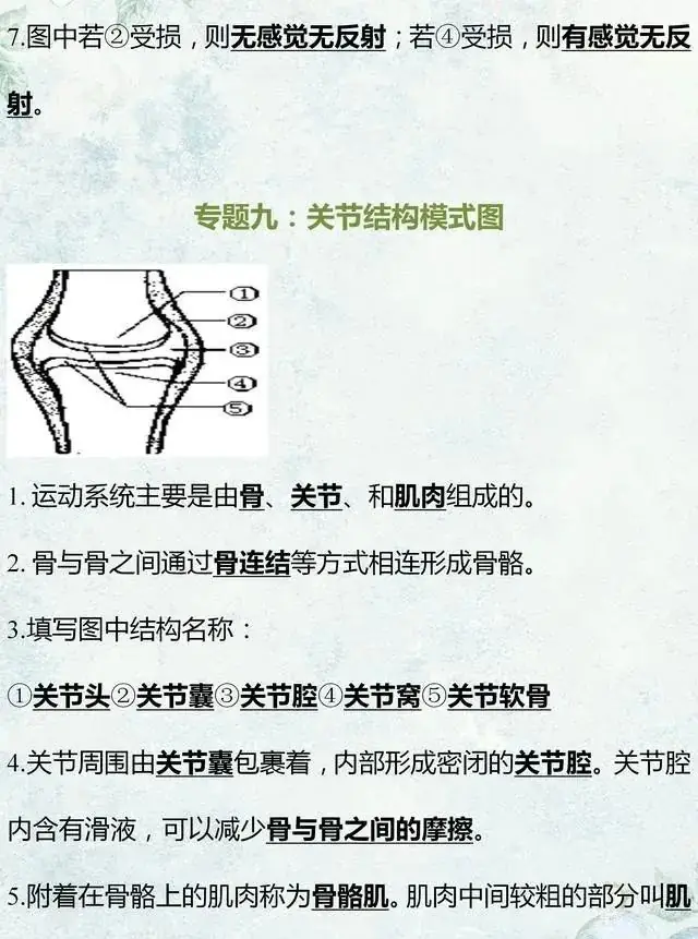 中考生物专题复习:识图作答专项练习,打印吃透,考试不丢分! 第15张