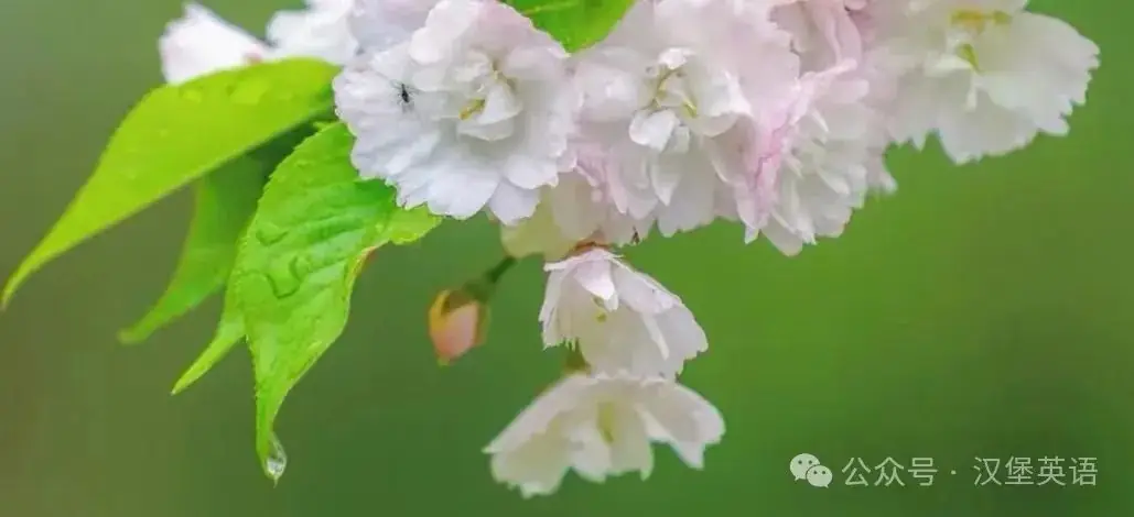 2024年高考英语|近3年高考语法填空真题-第3张图片-四季读书网