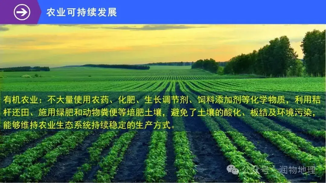 高考备考世界地理课件集(附知识点总结、综合测试卷)-第44张图片-四季读书网 高考备考世界地理课件集(附知识点总结、综合测试卷)-第44张图片-四季读书网