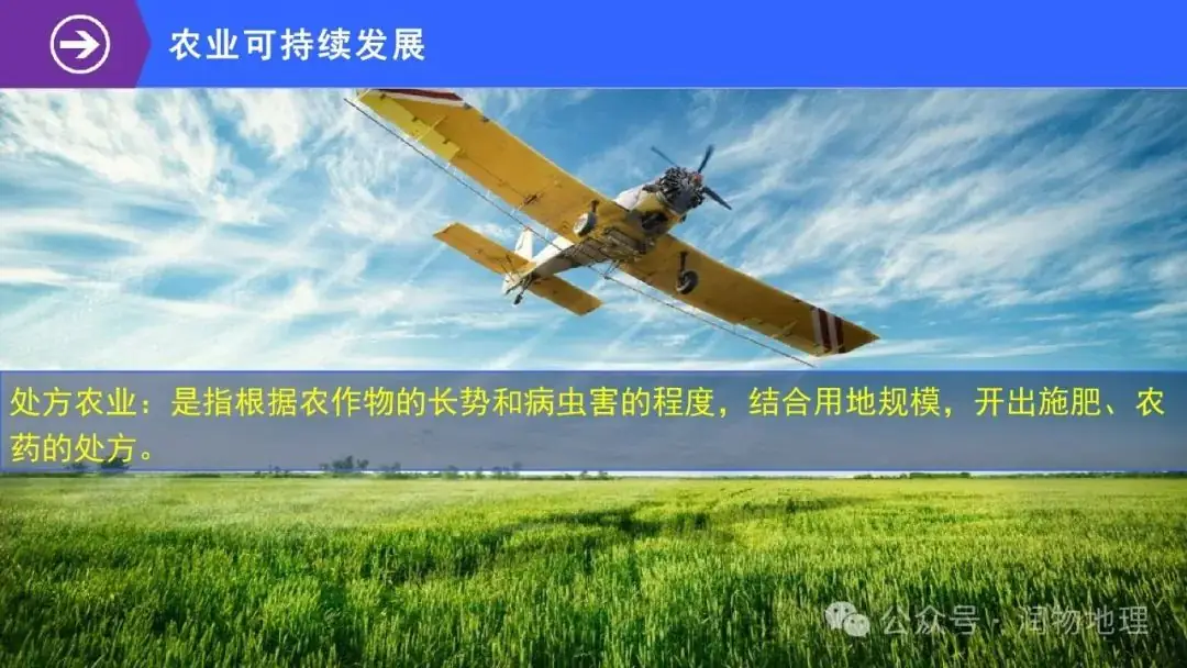 高考备考世界地理课件集(附知识点总结、综合测试卷)-第43张图片-四季读书网 高考备考世界地理课件集(附知识点总结、综合测试卷)-第43张图片-四季读书网