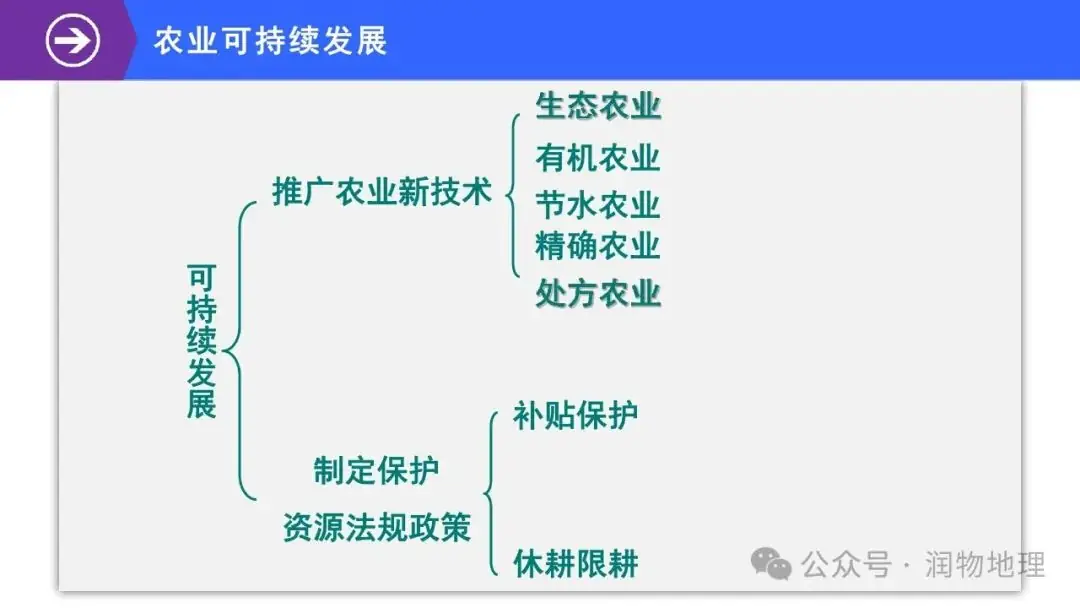高考备考世界地理课件集(附知识点总结、综合测试卷)-第40张图片-四季读书网 高考备考世界地理课件集(附知识点总结、综合测试卷)-第40张图片-四季读书网