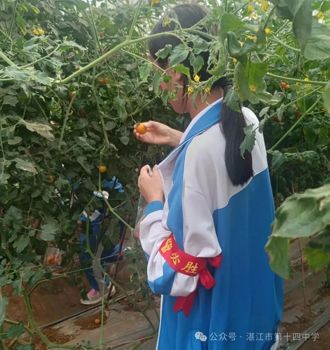 志行合一筑梦想,乐学笃行迎中考——湛江市第十四中学2024年中考百日快乐行-第54张图片-四季读书网