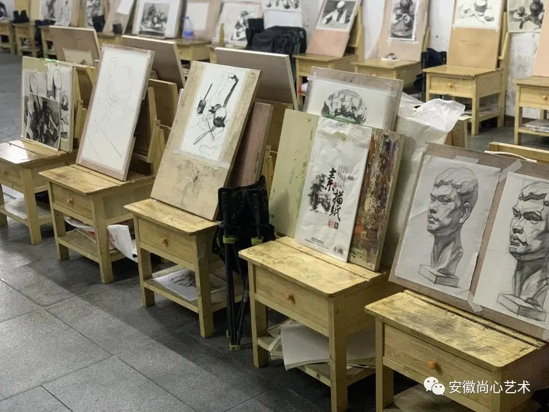 合肥中考艺术班(中考美术班、中考舞蹈班、中考播音班)全攻略:如何选择最适合孩子的艺术培训?-第6张图片-四季读书网