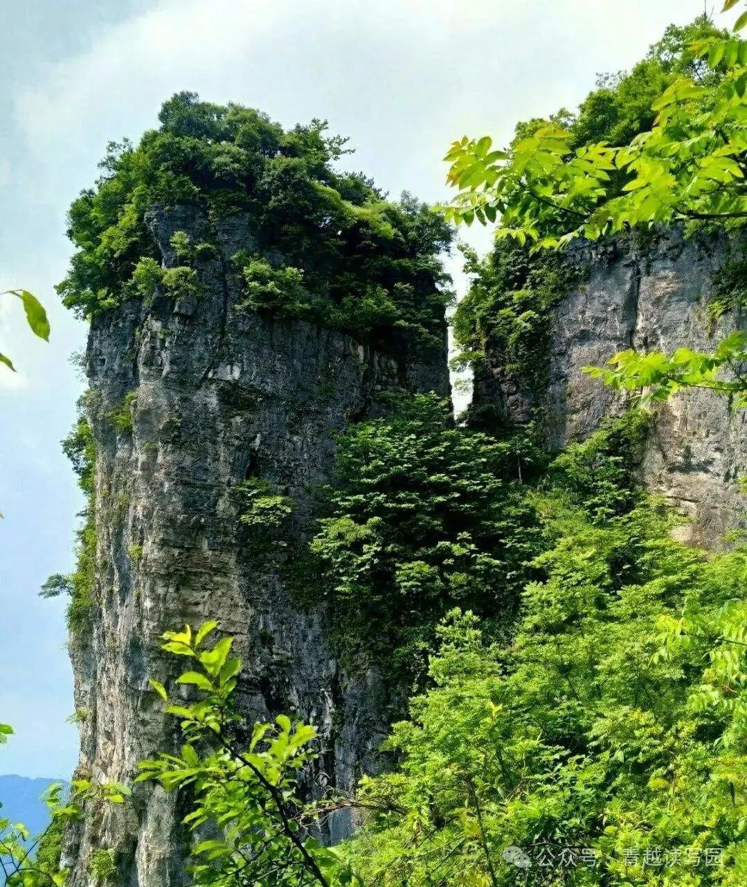 高考选择题探究——由“人情苦向南山觅”的“苦”字说开去-第1张图片-四季读书网 高考选择题探究——由“人情苦向南山觅”的“苦”字说开去-第1张图片-四季读书网