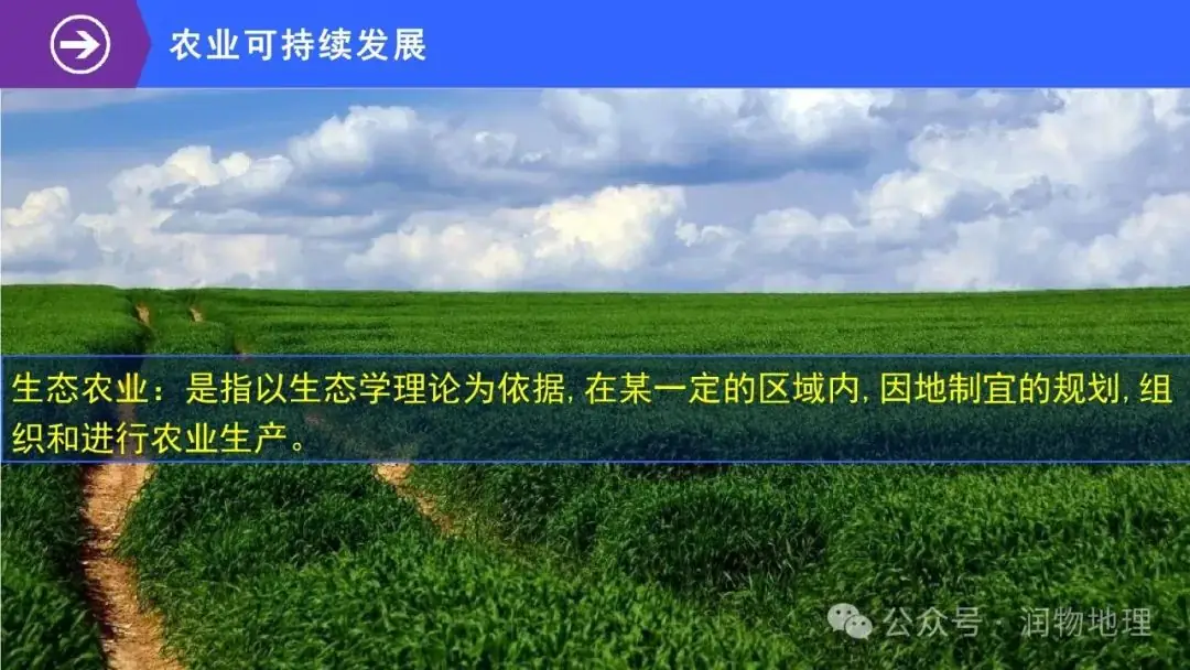 高考备考世界地理课件集(附知识点总结、综合测试卷)-第41张图片-四季读书网 高考备考世界地理课件集(附知识点总结、综合测试卷)-第41张图片-四季读书网