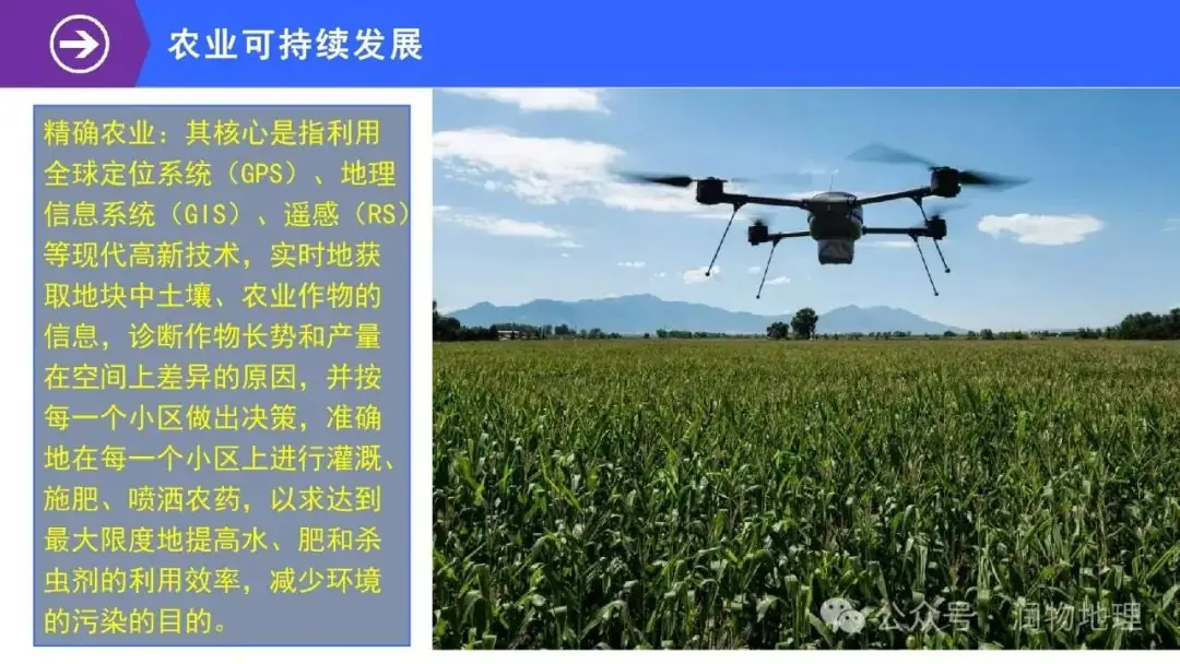 高考备考世界地理课件集(附知识点总结、综合测试卷)-第45张图片-四季读书网 高考备考世界地理课件集(附知识点总结、综合测试卷)-第45张图片-四季读书网