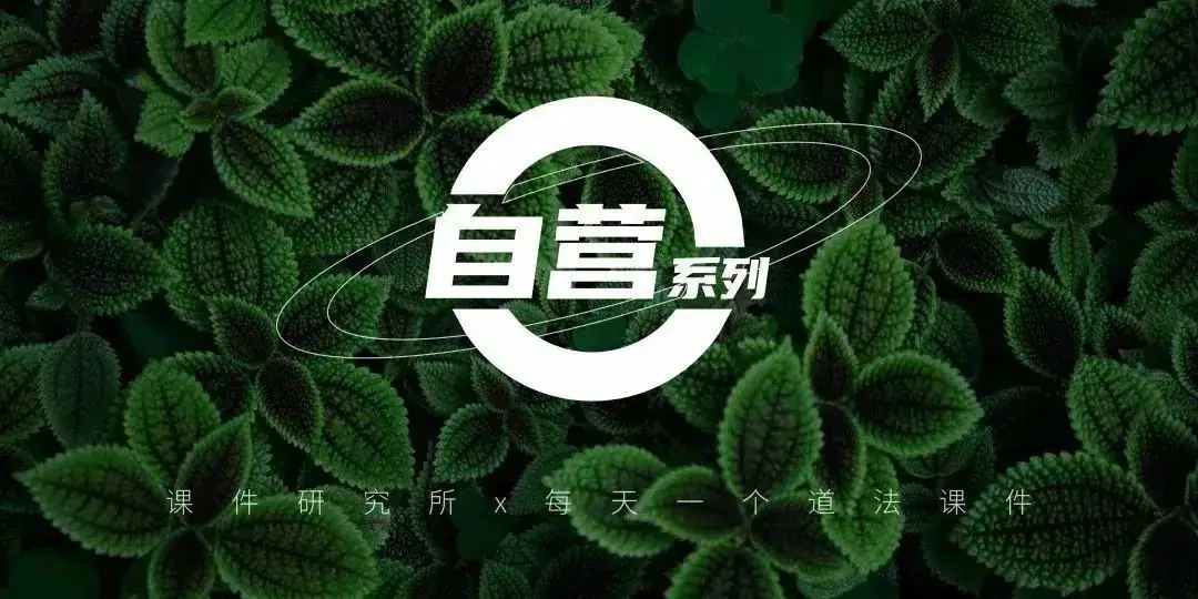 道法全套中考复习资料哪里找?复习课件+思维导图+背诵材料都在这!丨自营系列-第1张图片-四季读书网