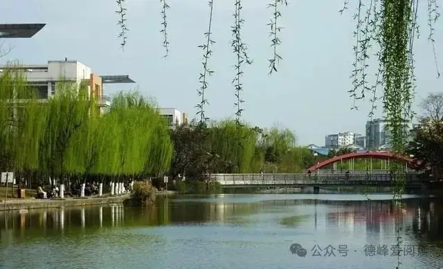 高考成绩不理想?这两所大专院校可能是你的最佳选择-第2张图片-四季读书网 高考成绩不理想?这两所大专院校可能是你的最佳选择-第2张图片-四季读书网