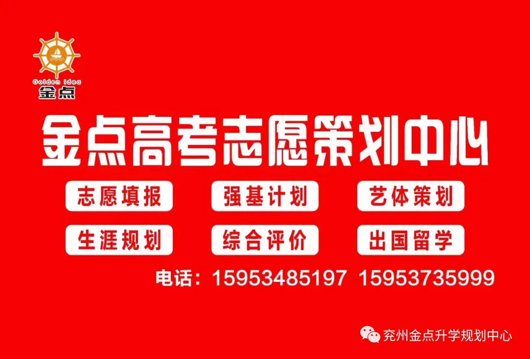 2024年山东各地市高考人数分布!附23年省内院校最低录取分数线!-第8张图片-四季读书网