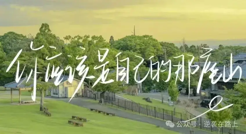高考最后两个月逆袭150+,如何把弱势学科变成优势学科,同时在优势学科中找薄弱环节? 第4张