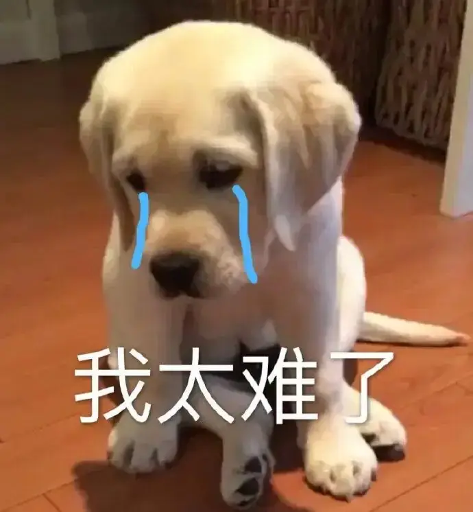 高考生物想拿高分?德叔和煜姐来帮你 第1张 高考生物想拿高分?德叔和煜姐来帮你 第1张