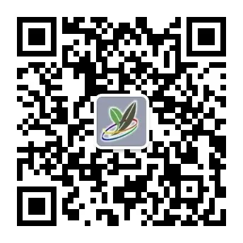 4月8日,高考外语及选考信息确认开启!学考报名同步展开-第1张图片-四季读书网 4月8日,高考外语及选考信息确认开启!学考报名同步展开-第1张图片-四季读书网