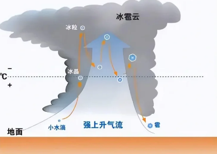 高考热点抢先看:南昌雷暴-第7张图片-四季读书网