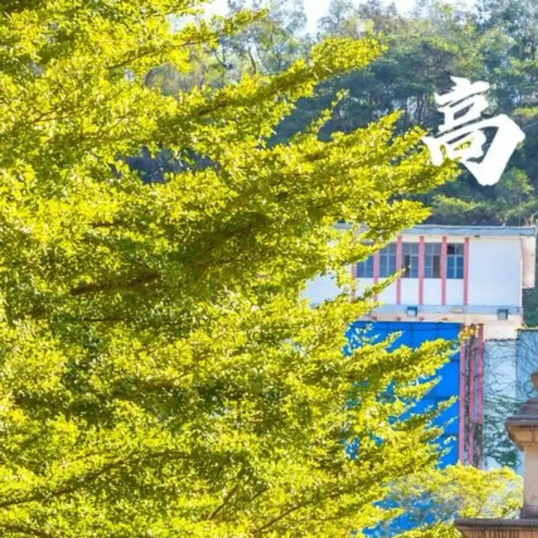 高考倒计时60天 | 青春炽热无畏,少年未来可期-第8张图片-四季读书网