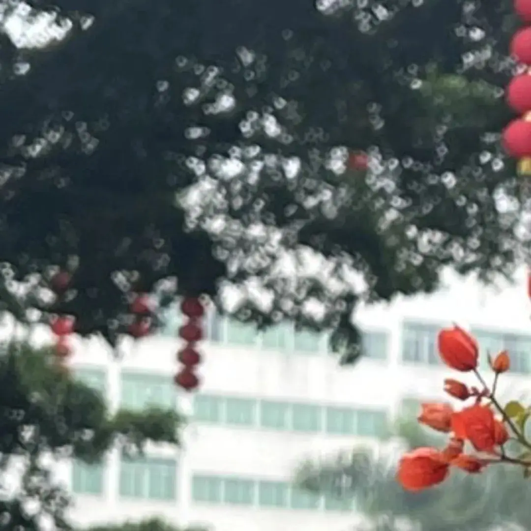 高考倒计时60天 | 青春炽热无畏,少年未来可期-第7张图片-四季读书网
