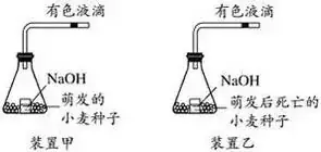 高考生物 | 生物学各类实验总结,必备!-第28张图片-四季读书网 高考生物 | 生物学各类实验总结,必备!-第28张图片-四季读书网