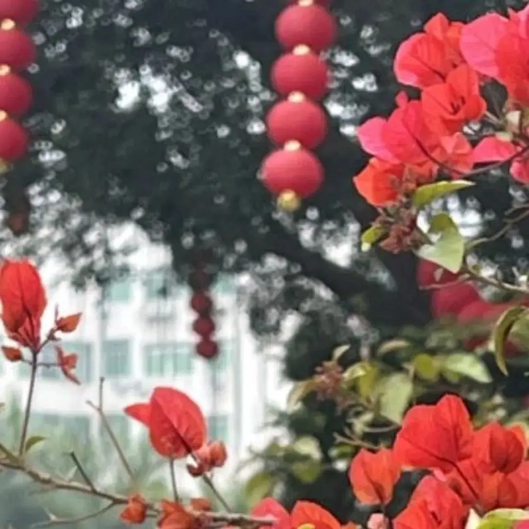 高考倒计时60天 | 青春炽热无畏,少年未来可期-第9张图片-四季读书网