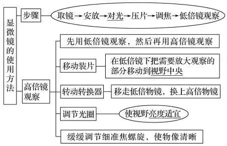 高考生物 | 生物学各类实验总结,必备!-第2张图片-四季读书网 高考生物 | 生物学各类实验总结,必备!-第2张图片-四季读书网