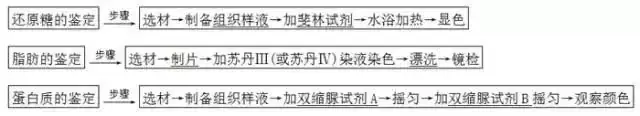 高考生物 | 生物学各类实验总结,必备!-第6张图片-四季读书网 高考生物 | 生物学各类实验总结,必备!-第6张图片-四季读书网