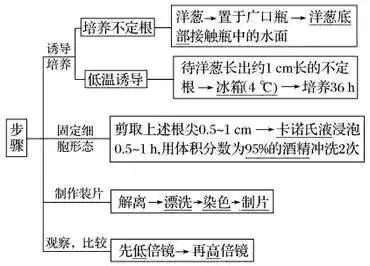 高考生物 | 生物学各类实验总结,必备!-第40张图片-四季读书网 高考生物 | 生物学各类实验总结,必备!-第40张图片-四季读书网