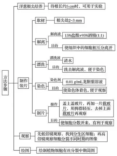 高考生物 | 生物学各类实验总结,必备!-第33张图片-四季读书网 高考生物 | 生物学各类实验总结,必备!-第33张图片-四季读书网