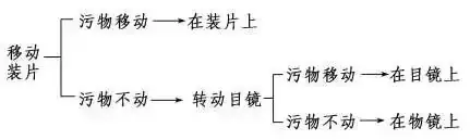 高考生物 | 生物学各类实验总结,必备!-第3张图片-四季读书网 高考生物 | 生物学各类实验总结,必备!-第3张图片-四季读书网