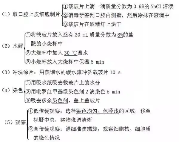 高考生物 | 生物学各类实验总结,必备!-第8张图片-四季读书网 高考生物 | 生物学各类实验总结,必备!-第8张图片-四季读书网