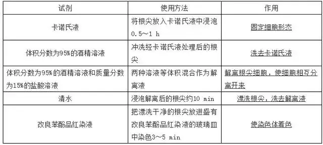 高考生物 | 生物学各类实验总结,必备!-第41张图片-四季读书网 高考生物 | 生物学各类实验总结,必备!-第41张图片-四季读书网
